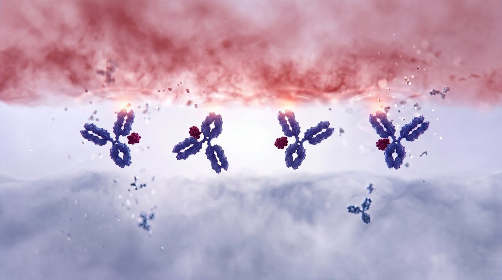 Antibodies carrying payloads at the edge of a tissue