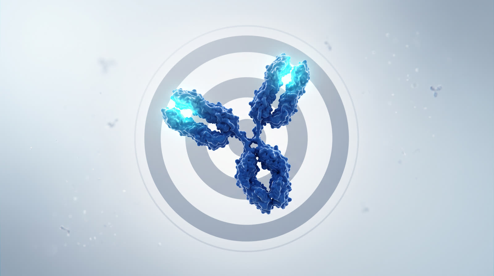 An antibody locking onto a single target
